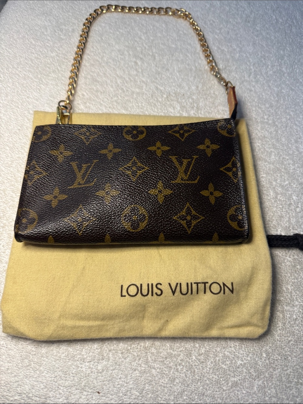 Authentic Louis Vuitton Monogram Bucket PM Accessories Pochette